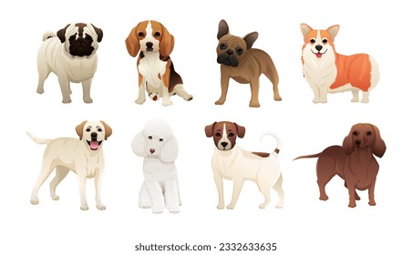Dogs collection. Flat style dogs breeds set. Vector illustration isolated on white
