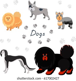 Dogs collection in flat style. Set of dog breeds isolated on white background.	
