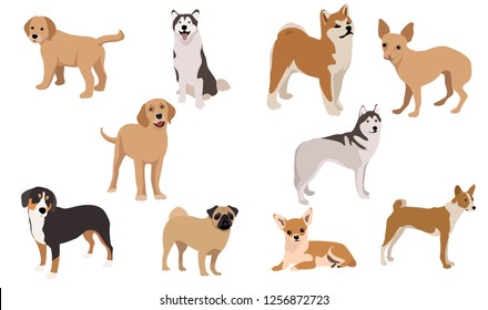 Dogs collection. Set of dogs. Vector illustration of funny cartoon. Isolated on white