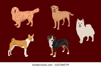 Dogs collection. Set of dogs. Vector illustration of funny cartoon. Isolated on white