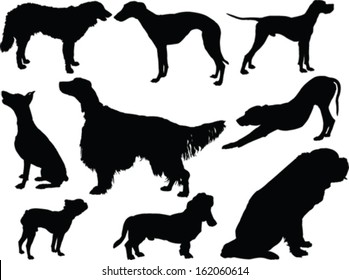 dogs collection - vector