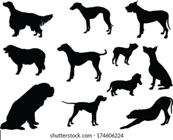 dogs collection - vector