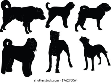 dogs collection - vector