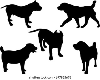 dogs collection vector