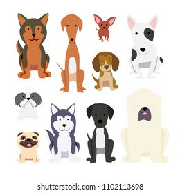Dogs collection. Vector illustration of different breeds dogs in flat style