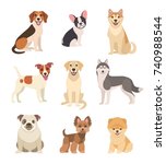 Dogs collection. Vector illustration of funny cartoon different breeds dogs in trendy flat style. Isolated on white.