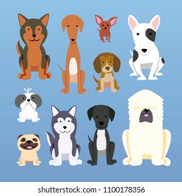 Dogs collection. Vector illustration of funny cartoon different breeds dogs in trendy flat style