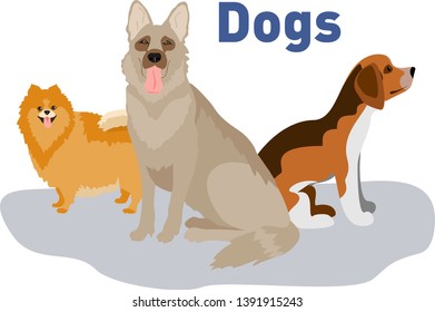 Dogs collection. Vector illustration of funny cartoon different breeds dogs in trendy flat style. Isolated on white. 