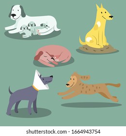 Dogs collection. Vector illustration of funny cartoon different breeds dogs in trendy flat style. Isolated on white.