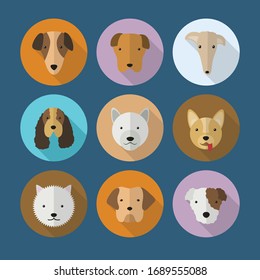 Dogs collection. Vector illustration of funny cartoon different breeds dogs in trendy flat style.