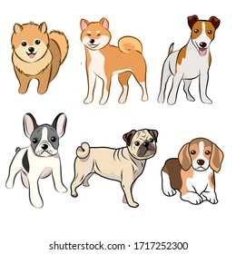 Dogs collection, Vector illustration of funny cartoon different breeds dogs in trendy flat style. Isolated on white.