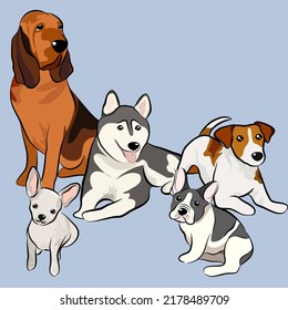 Dogs collection, Vector illustration of funny cartoon different breeds dogs in trendy flat style. Isolated on white.
