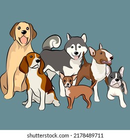 Dogs collection, Vector illustration of funny cartoon different breeds dogs in trendy flat style. Isolated on white.