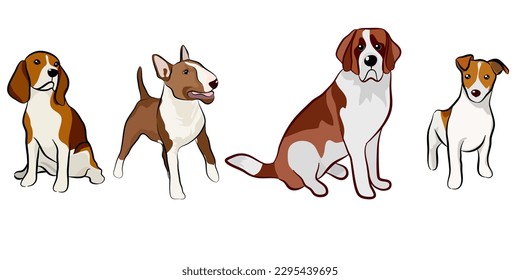 Dogs collection, Vector illustration of funny cartoon different breeds dogs in trendy flat style. Isolated on white.