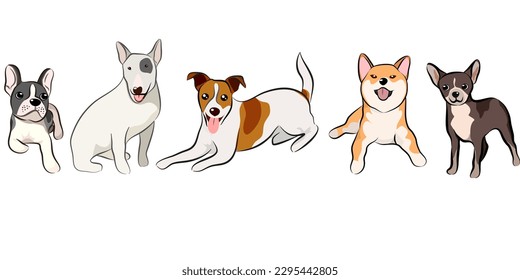 Dogs collection, Vector illustration of funny cartoon different breeds dogs in trendy flat style. Isolated on white.
