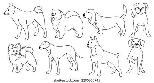 Dogs collection, Vector illustration of funny cartoon different breeds dogs in trendy flat style. Isolated on white.