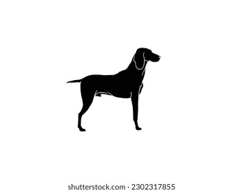 Dogs collection. Vector illustration of funny cartoon different breeds dogs in trendy flat style. Isolated on white and black.Vector silhouette of dog on white background. Vector illustration of cute.