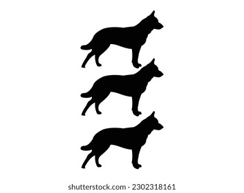 Colección de perros. Ilustración vectorial de divertidas caricaturas de diferentes razas perros de estilo moderno y plano. Aislado en blanco y negro. Silueta vectorial de perro sobre fondo blanco. Ilustración vectorial de lindo.