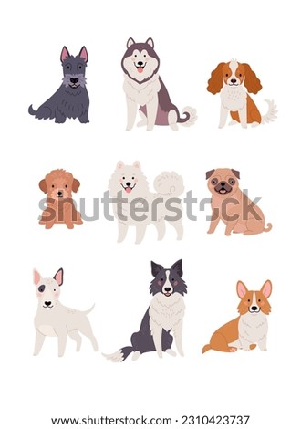 Dogs collection. Vector illustration of funny cartoon diverse breeds dogs in trendy flat style. Isolated on white.