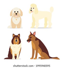 Dogs collection. Vector illustration of various breeds of dogs, such as mini poodle, collie, german shepherd dog and maltipoo. Isolated on white.