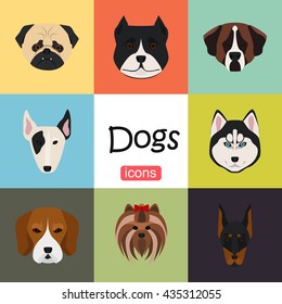 Dogs color flat set icon