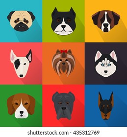 Dogs color flat set icon