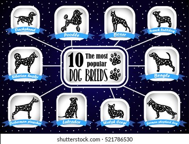 Dogs in the constellations. Dog breeds set. Dogs icon set with ribbons. Dark background with stars. 