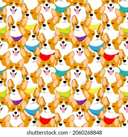 Dogs of the Corgi breed in multi-colored collars. Animal seamless pattern, background, print. Vector illustration