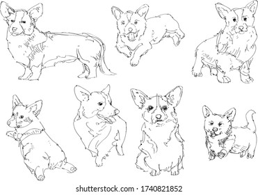 Hunde Corgi Set Vector Sketch