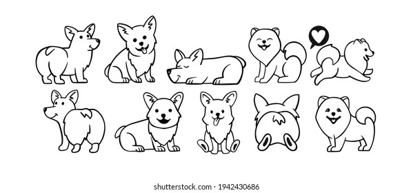 Dogs corgi and spitz big set. Cute dogs in different poses in line