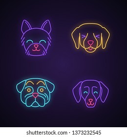 Dogs cute kawaii neon light characters. Animals with smiling muzzles. Happy Yorkshire Terrier. Funny emoji, emoticon set. Glowing icons with alphabet, numbers, symbols. Vector isolated illustration