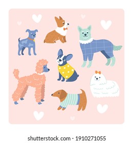 Hunde in süßen Outfits. Lieblicher Laptop, Corgi, Terrier, Datschund. Farbige, lustige Tiere in unterschiedlicher Mode strukturierte Kleidung einzeln auf rosafarbenem Hintergrund. Modernes Set mit besten Freunden.