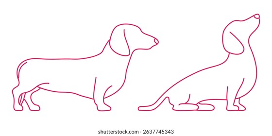 Dogs Dachshund Dogs Dachshund Dogs Dachshund Dogs Dachshund