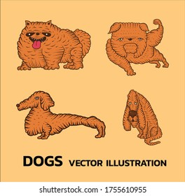 Dogs, dachshund, chow chow, basset hound, bulldog. Cartoon vector illustration