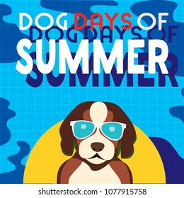 Dogs days of Summer Time for adventure. Cute comic cartoon. Colorful humor retro style. Dog in sunglass enjoy beach fun swimming pool. Summertime vacation journey. Vector banner background template