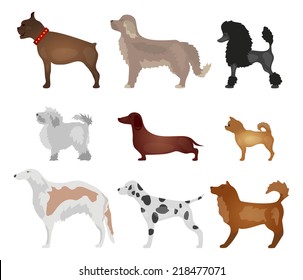 Dogs Different Breeds Dogs Stock Vector (royalty Free) 218477071 