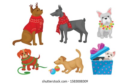 Dogs of Different Breeds Collection, Cute Pet Animals with Christmas Accessories Vector Illustration