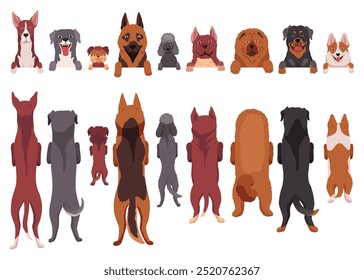 Perros de diferentes razas colgando en la frontera. Retratos de bozales con patas y cuerpos completos. Vista frontal y trasera. Diseño de Vector plano