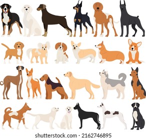 dogs of different breeds set, collection in flat design isolated, vector