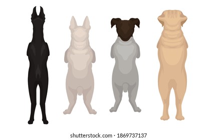 Dogs of Different Breeds Standing on Hind Legs Vector Set