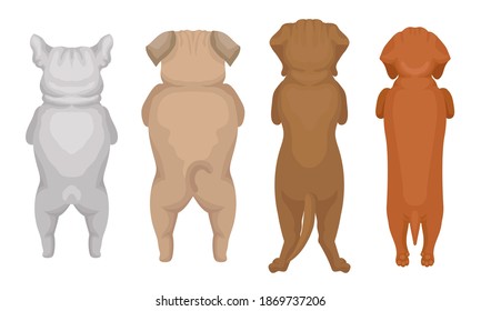 Dogs of Different Breeds Standing on Hind Legs Vector Set