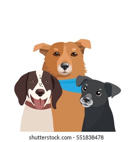 Dogs Of Different Breeds Vector. Three Funny Dogs Illustration. Pets Friendship Vector Image.