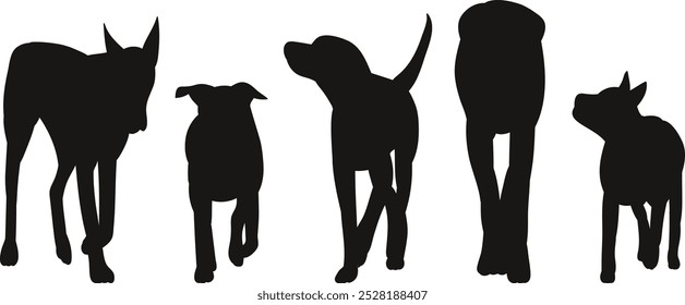 Perros de diferentes razas caminando silueta, Vector