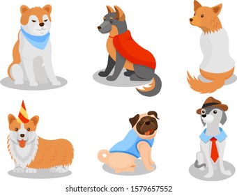 Dogs of Different Breeds Wearing Clothing Item Vector Set