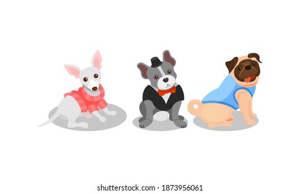 Dogs of Different Breeds Wearing Clothing Item Vector Set