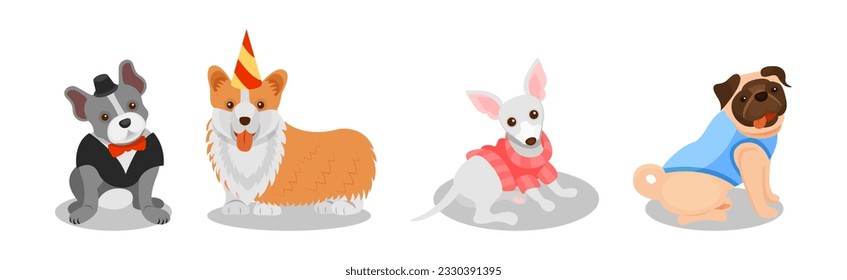 Dogs of Different Breeds Wearing Clothing Item Vector Set