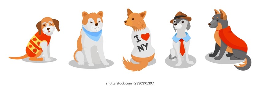 Dogs of Different Breeds Wearing Clothing Item Vector Set