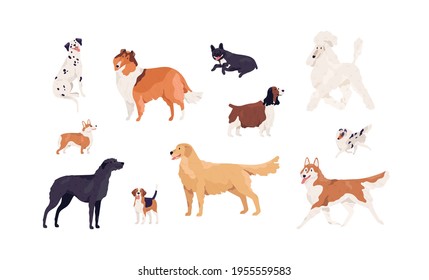 Dogs Different Canine Breeds Isolated On Stock Vector (Royalty Free ...