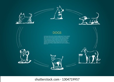 Dogs - different dog breeds walking, eating from bowl, playing with bone, sitting on grass vector concept set. Hand drawn sketch isolated illustration