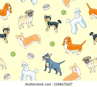 Dogs, dog breeds, poodle, pug and yorkshire terrier, seamless vector background, pattern. Animal, pets, basset hound, welsh corgi and miniature bull terrier, vector design